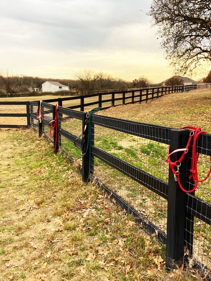 The Walk of fives is a gratitude walk that covers the property