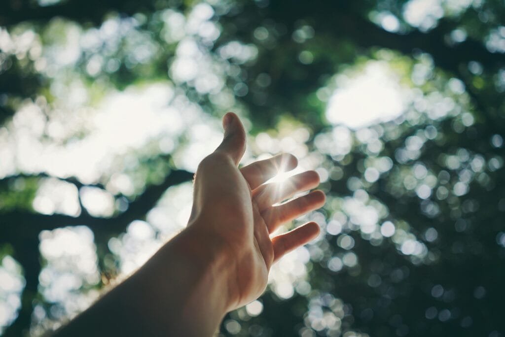 Embodied Experiences is created by caring and nurturing therapists.